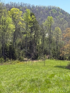 65 Acres with barn for Sale in Hawkins County, Tennessee - image 29