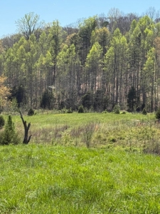 65 Acres with barn for Sale in Hawkins County, Tennessee - image 33