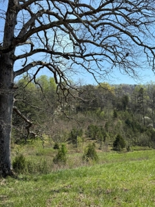 65 Acres with barn for Sale in Hawkins County, Tennessee - image 36