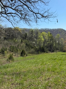 65 Acres with barn for Sale in Hawkins County, Tennessee - image 35