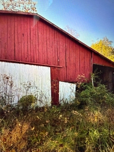 65 Acres with barn for Sale in Hawkins County, Tennessee - image 42