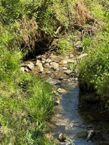 65 Acres with barn for Sale in Hawkins County, Tennessee - image 4