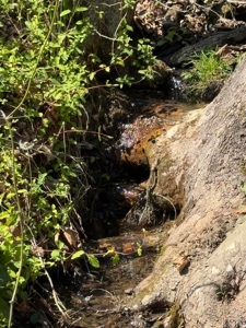 65 Acres with barn for Sale in Hawkins County, Tennessee - image 25