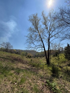 65 Acres with barn for Sale in Hawkins County, Tennessee - image 17