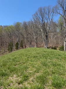 65 Acres with barn for Sale in Hawkins County, Tennessee - image 41