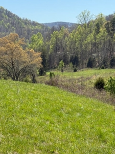 65 Acres with barn for Sale in Hawkins County, Tennessee - image 1
