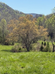 65 Acres with barn for Sale in Hawkins County, Tennessee - image 31