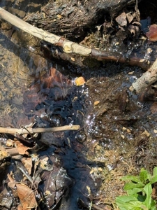 65 Acres with barn for Sale in Hawkins County, Tennessee - image 24