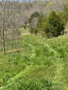 65 Acres with barn for Sale in Hawkins County, Tennessee - image 8