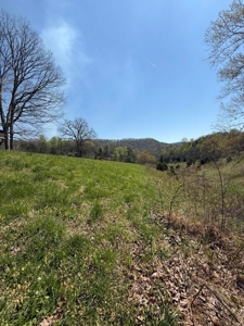 65 Acres with barn for Sale in Hawkins County, Tennessee - image 18