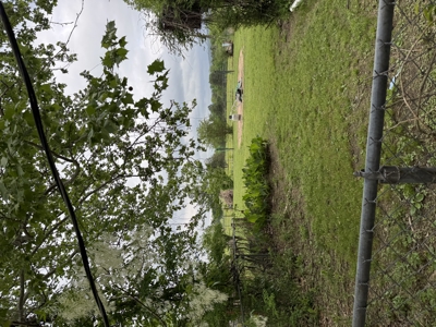 Peaceful Country Living on 1.5 Acres – Minutes from Town - image 40