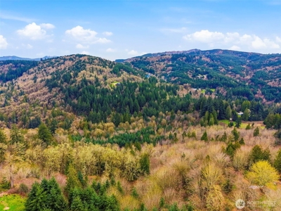 Private Kalama Acreage Near Spencer Creek - image 17
