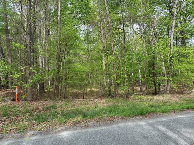 Buggs Island Retreat with Lake Access & Privacy - image 3