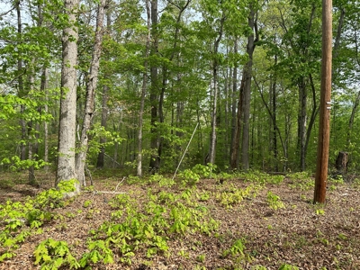 Buggs Island Retreat with Lake Access & Privacy - image 14