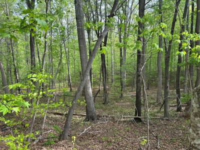 Buggs Island Retreat with Lake Access & Privacy - image 6