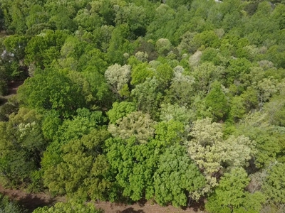 Buggs Island Retreat with Lake Access & Privacy - image 16