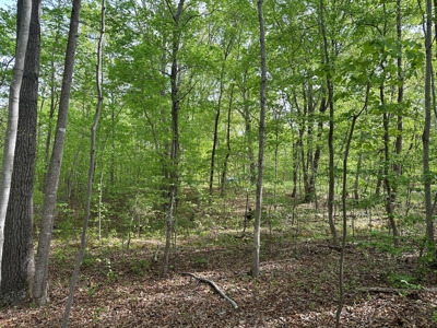 Buggs Island Retreat with Lake Access & Privacy - image 10