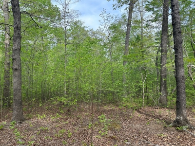 Buggs Island Retreat with Lake Access & Privacy - image 13