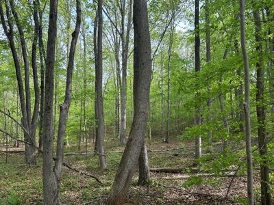 Buggs Island Retreat with Lake Access & Privacy - image 7