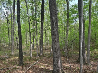 Buggs Island Retreat with Lake Access & Privacy - image 9