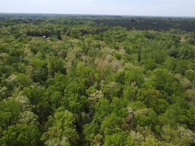 Buggs Island Retreat with Lake Access & Privacy - image 17