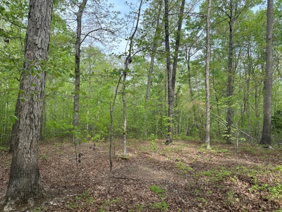 Buggs Island Retreat with Lake Access & Privacy - image 12