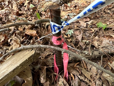 Buggs Island Retreat with Lake Access & Privacy - image 5