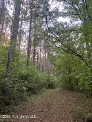 Hunting and Recreational Land for Sale in Amite County, Miss