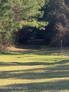 Hunting and Recreational Land for Sale in Amite County, Miss - image 2