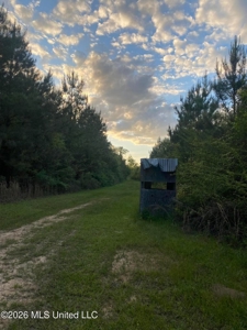Hunting and Recreational Land for Sale in Amite County, Miss - image 31