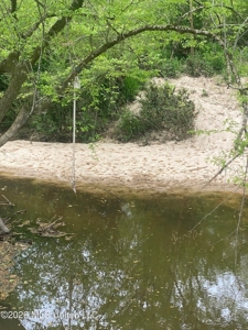 Hunting and Recreational Land for Sale in Amite County, Miss - image 11