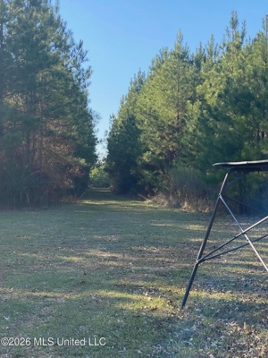 Hunting and Recreational Land for Sale in Amite County, Miss