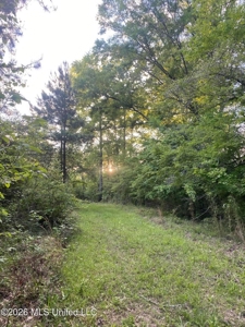 Hunting and Recreational Land for Sale in Amite County, Miss - image 28