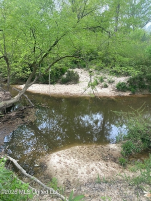 Hunting and Recreational Land for Sale in Amite County, Miss