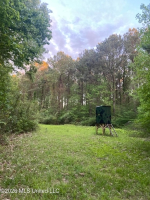 Hunting and Recreational Land for Sale in Amite County, Miss