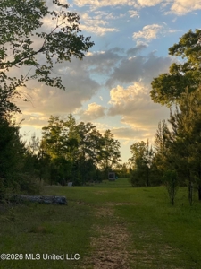 Hunting and Recreational Land for Sale in Amite County, Miss - image 32