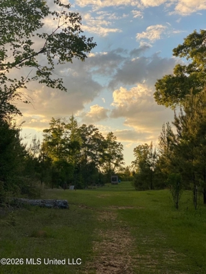 Hunting and Recreational Land for Sale in Amite County, Miss
