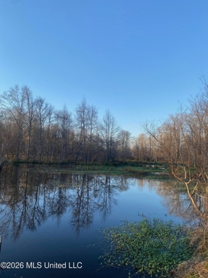 Hunting and Recreational Land for Sale in Amite County, Miss