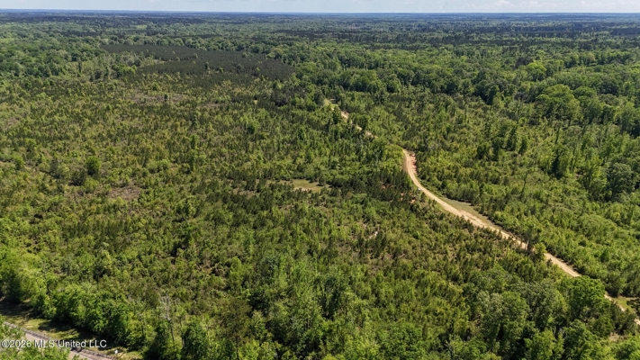 Hunting and Recreational Land for Sale in Amite County, Miss