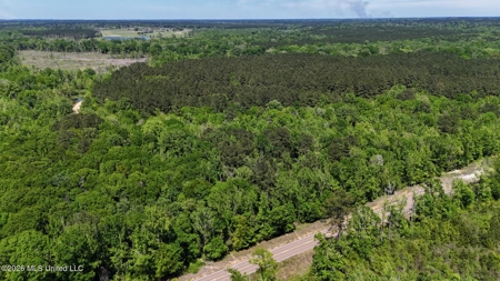 Hunting and Recreational Land for Sale in Amite County, Miss - image 37