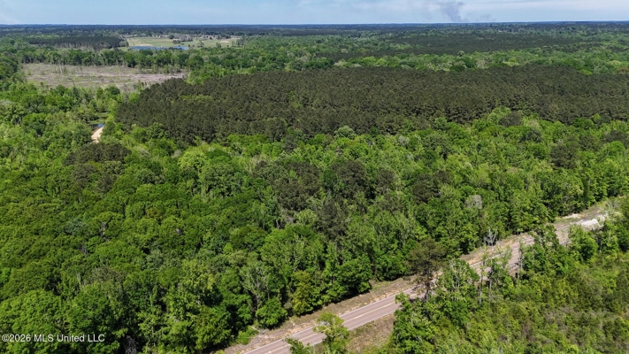 Hunting and Recreational Land for Sale in Amite County, Miss