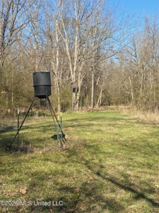 Hunting and Recreational Land for Sale in Amite County, Miss - image 40