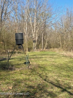 Hunting and Recreational Land for Sale in Amite County, Miss