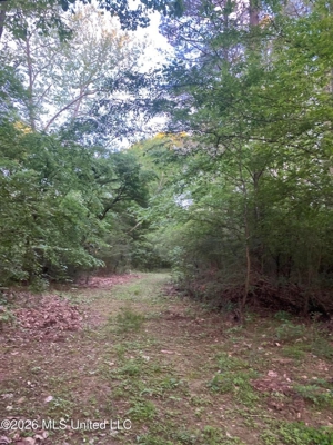 Hunting and Recreational Land for Sale in Amite County, Miss