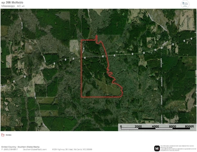 Hunting and Recreational Land for Sale in Amite County, Miss - image 49