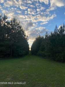 Hunting and Recreational Land for Sale in Amite County, Miss - image 29