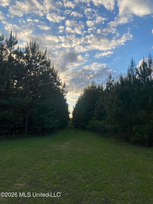 Hunting and Recreational Land for Sale in Amite County, Miss