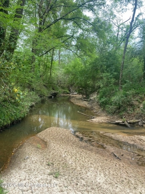 Hunting and Recreational Land for Sale in Amite County, Miss