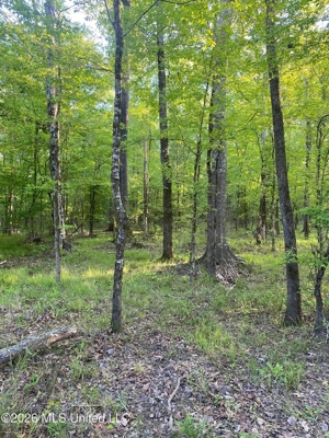 Hunting and Recreational Land for Sale in Amite County, Miss