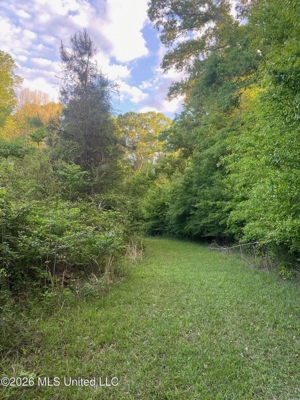 Hunting and Recreational Land for Sale in Amite County, Miss